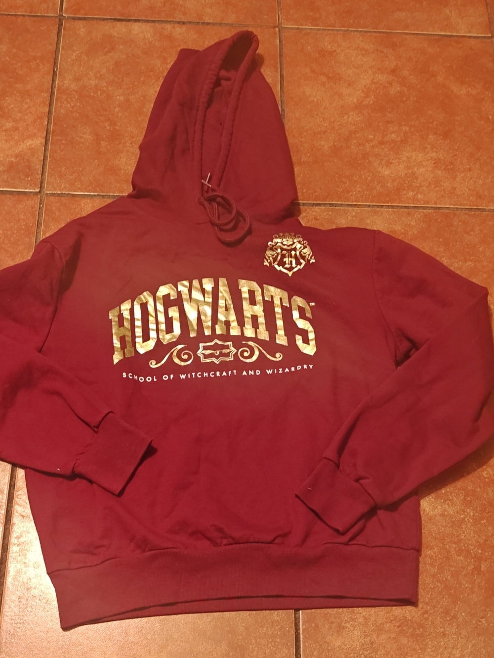 Hogwarts Maroon Hooded Sweatshirt - School Crest Graphic